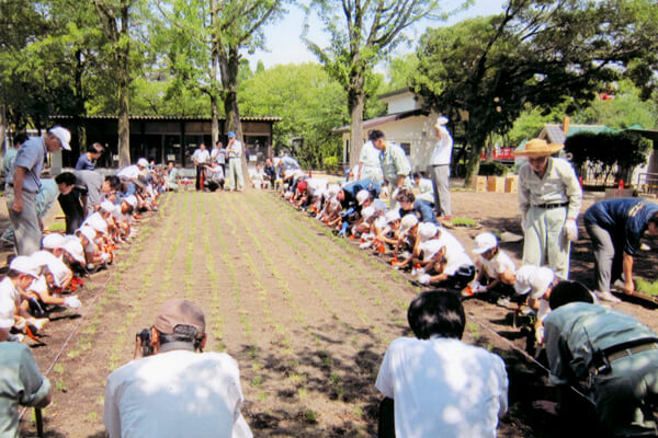 姫路市立動物園 芝を植栽